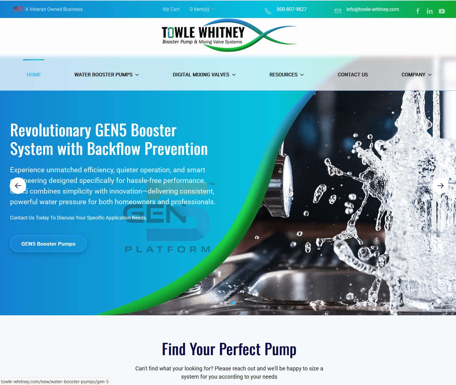 Business Websites